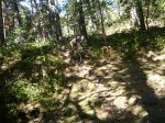 Foto44.JPG