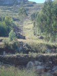 DSC05353xx.JPG