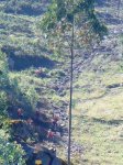 DSC05353xxx.JPG
