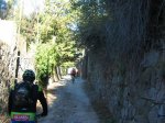 Escorial-Marichivas-Oso Vigilante 002 (Medium) (Large).jpg
