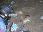 DSCN2133.jpg