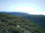 IMAG0005a.jpg