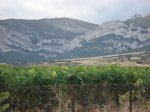 Berberana 006.jpg