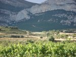 Berberana 014.jpg