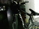 PIC_0005.jpg