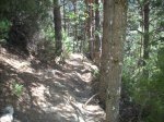 DSCN1536 (Medium).jpg