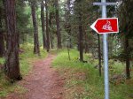 SUIZA 2008 091.jpg