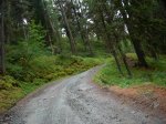 SUIZA 2008 100.jpg