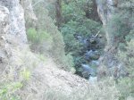 DSC01010 (Small).JPG