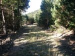 Foto9.JPG