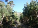 Foto10.JPG