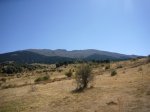 Foto49.JPG