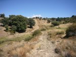Foto51.JPG