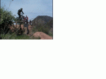 Santi 3.gif