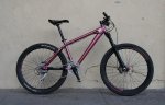 Chameleon 2008 R.jpg