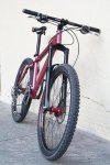 Chameleon 2008 F.jpg