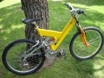 mtb quantum DH 006 (Large).jpg