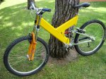 mtb quantum DH 005 (Large).jpg