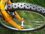 mtb quantum DH 008 (Large).jpg