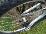 mtb quantum DH 009 (Large).jpg