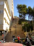 mirador.jpg