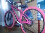 Bici Xorla.JPG
