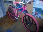 Bici Xorla (1).JPG