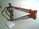 DSC00704.jpg