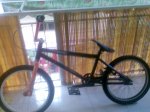 Bmx actual.jpg