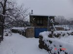 DSC00982.jpg