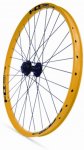rodi dh.jpg