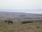 SANY0045.jpg