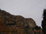ds_DSC01220.jpg
