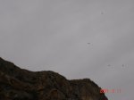 ds_DSC01221.jpg
