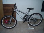 cole giant 004.jpg
