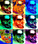 Sisebuto_Warholiano.gif