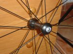 DSC01864.JPG