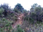 Imagen060AS.jpg