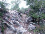 Imagen098as.jpg