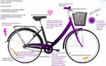 MIBICI!!!!.jpg
