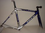 DSC01951.jpg