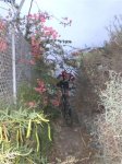 Bici (5).JPG