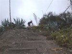 Bici (6).JPG