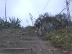 Bici (7).JPG