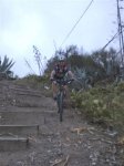Bici (9).JPG