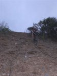 Bici (12).JPG