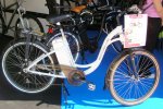 bicicuriosa3.jpg