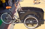bicicuriosa6.jpg