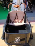 bicicuriosa7.jpg