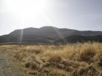 DSC03466.jpg